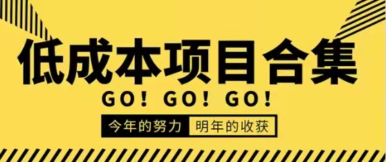 低成本零成本项目合集，价值万元资料-办公模板库