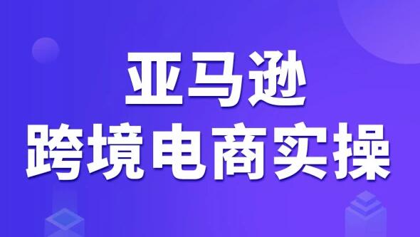 亚马逊跨境电商vip课程，价值3980元-办公模板库