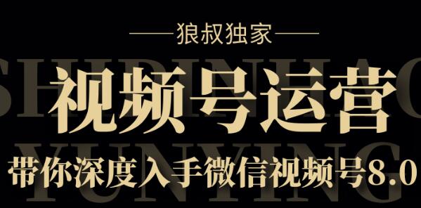 狼叔·视频号8.0运营实战课【无水印】-办公模板库