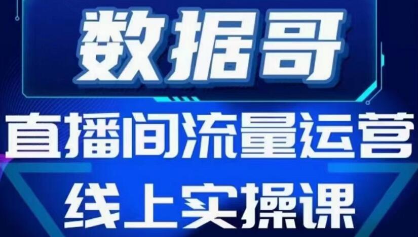 数据哥流量运营线上实操课，价值398元-办公模板库