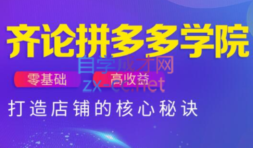 齐论拼多多vip课程（更新2023年1月）-办公模板库