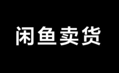 引流哥·闲鱼卖苹果手机项目，价值888元-办公模板库