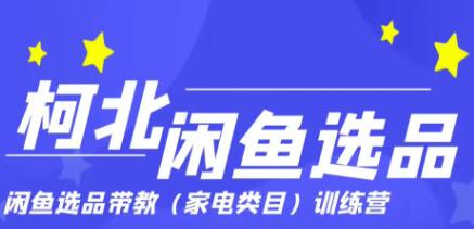 柯北·闲鱼选品带教加点类目训练营，价值499元-办公模板库