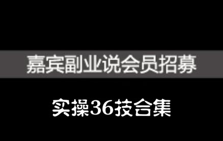 嘉宾副业说实操36技合集，价值1380元-办公模板库