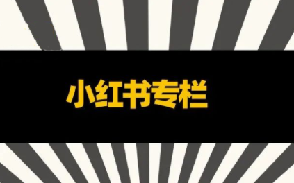 品牌医生·小红书全链营销干货，价值299元-办公模板库