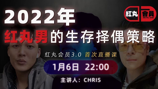 Chris·2022红丸会员（1.0+2.0+3.0）-办公模板库