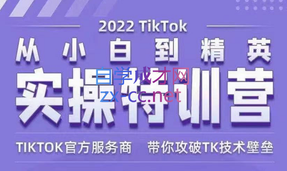 Seven漆·2022Tiktok从小白到精英实操特训营-办公模板库