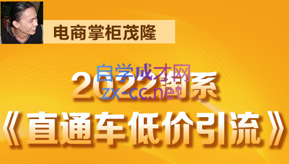 电商掌柜杨茂隆·2022直通车低价引流玩法课程，价值1998元-办公模板库