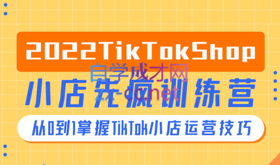 疯人院·TikTok Shop小店先疯训练营，价值4999元-办公模板库