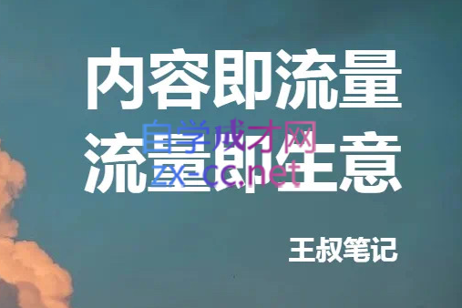 王叔·21天文案引流训练营，价值299元-办公模板库