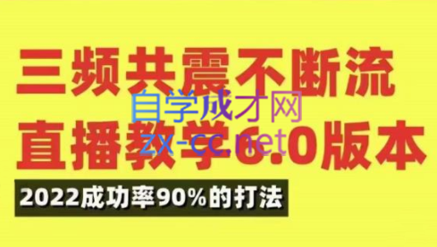 小伟·三频共震直播起号（5.0+6.0），价值5980元-办公模板库