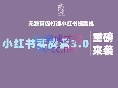 谢无敌·小红书实战营3.0，价值7999元-办公模板库