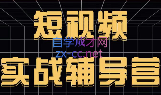 达人队长·短视频实战辅导营，价值399元-办公模板库