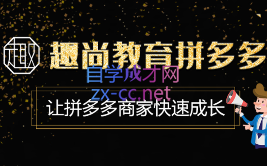 趣尚教育·拼多多运营实操VIP特训营，价值3180元-办公模板库