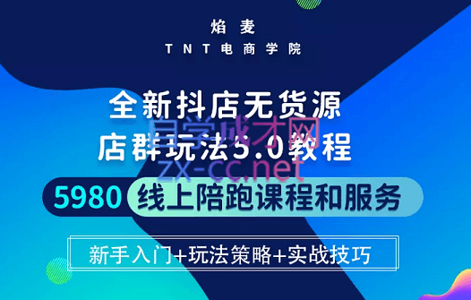 焰麦TNT电商学院·抖店无货源5.0进阶版密训营，价值5980元-办公模板库