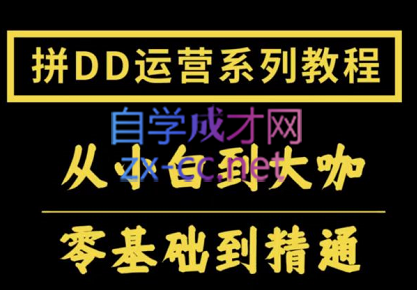 2022全套拼多多核心实操课程，价值500元-办公模板库