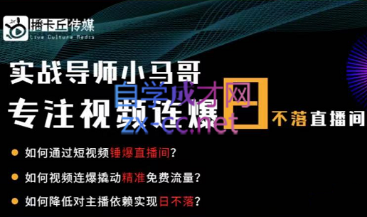 小马哥·视频连爆日不落直播间，价值1980元-办公模板库