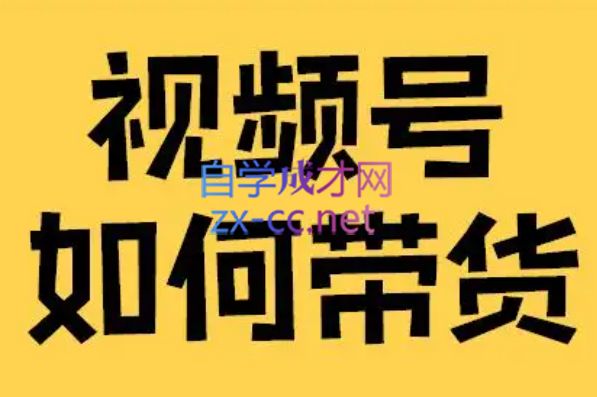 木易·视频号带货训练营，价值4980元-办公模板库