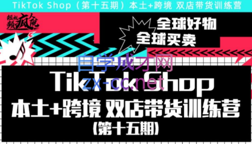 疯人院·TikTok Shop本土+跨境，双店带货训练营（第十五期）-办公模板库