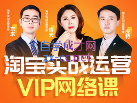 淘宝VIP线上直播课（八月完结），价值7580元-办公模板库