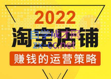 震宇老师·2022年淘宝店铺赚钱的运营策略-办公模板库