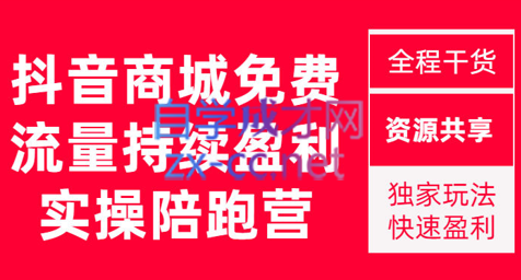 无山电商·抖音商城搜索持续盈利陪跑成长营【更新11月】，价值1980元-办公模板库