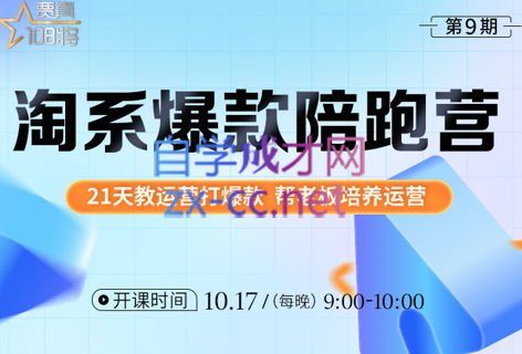 108将淘系爆款陪跑营【第九期】，价值2999元-办公模板库