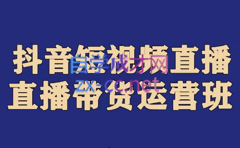 老李·抖音带货实操运营班，价值1980元-办公模板库