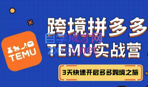 宋老师·跨境拼多多temu实战篇-办公模板库