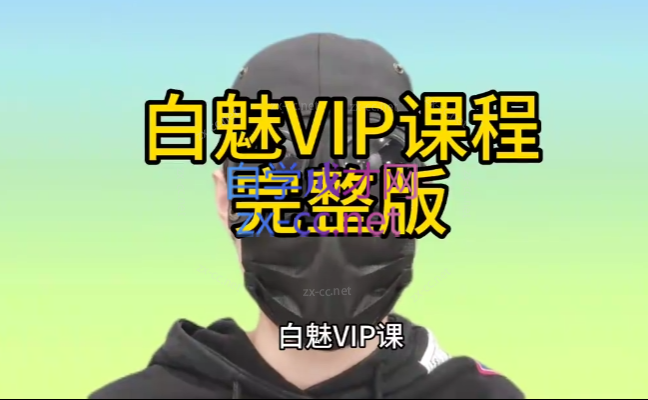 白魅VIP课程-办公模板库