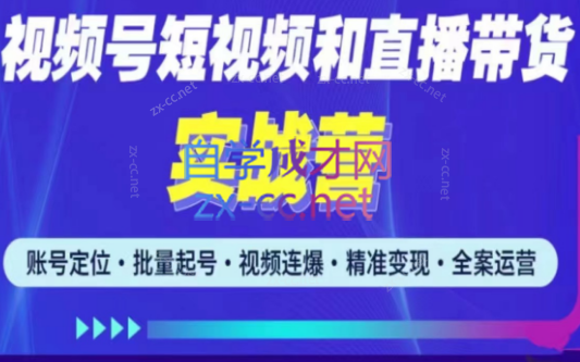 小卒·2023最新微信视频号引流和变现全套运营实战课程，价值2980元-办公模板库