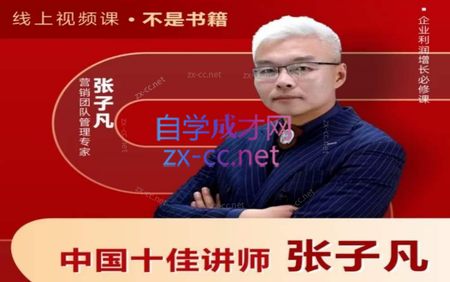 张子凡20年实战经验，揭秘营销背后的底层逻辑-办公模板库