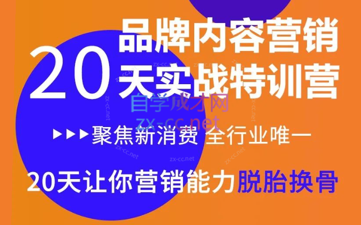 《内容营销实操特训营》20天让你营销能力脱胎换骨-办公模板库