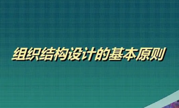 设计组织结构的基本原则-办公模板库