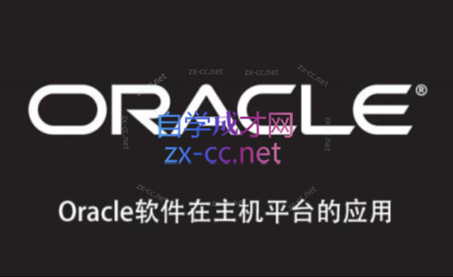 Oracle软件在主机平台的应用-办公模板库