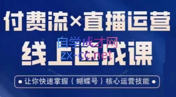 吕承洺·视频号付费流实操课程×直播运营线上速成课-办公模板库