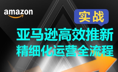 亚马逊高效推新精细化运营全流程-办公模板库