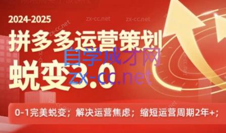 大力老师·2024拼多多运营策略蜕变3.0-办公模板库