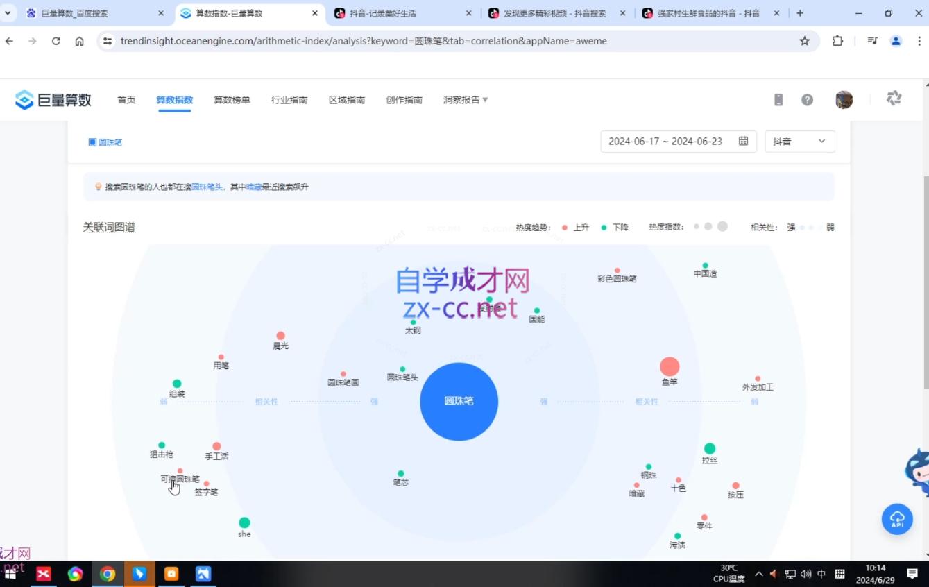 2024焦点抖音运营-办公模板库