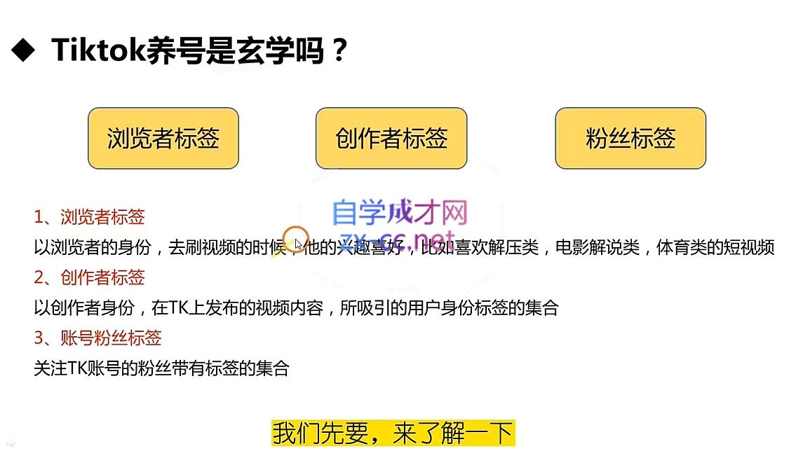 TikTok短视频运营+跨境小店运营-办公模板库